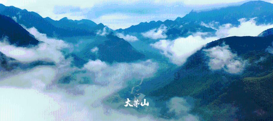 合金装备：幸存
